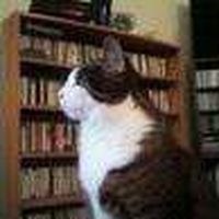 Fotos de Krista Anderson