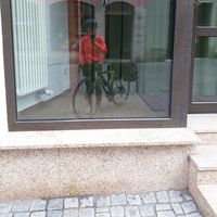 Judith Sturm的照片