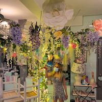 라우 데미的照片