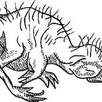 Inbar Itzkovitch's Photo