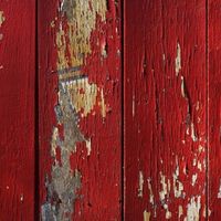 Octavio chavez's Photo