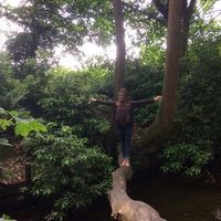 aurora bollettinari的照片