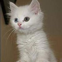 Фотографии пользователя adem Madem