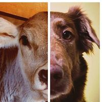 Lisbeth Gegler's Photo