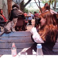 Aino Mielo's Photo