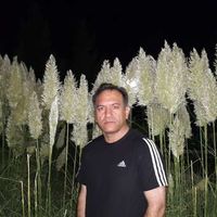 Le foto di majid Sanaei