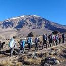 8 days lemosho route ,kilimanjaro climbing的照片