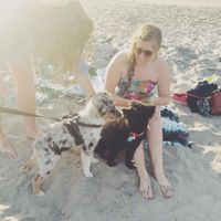 Kristin Jones的照片