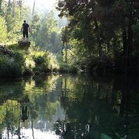 Oscar Dovale Qvc's Photo