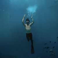 Adib Navarro Acosta's Photo