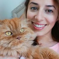 Laura Sanchez的照片