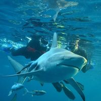 Nader Ekladious's Photo