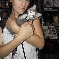 Arianna Festi的照片