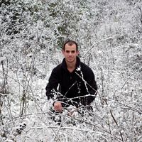 Fotos de Dotan  Halevi