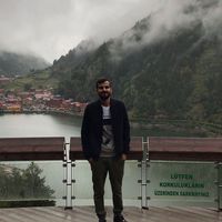 MB Albashayreh的照片