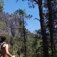 Carlos Mendoza's Photo