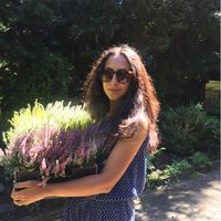 Sophie Alice  Grebner的照片