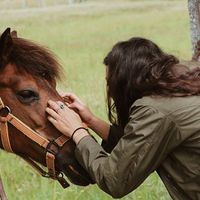 Camile Tomé's Photo