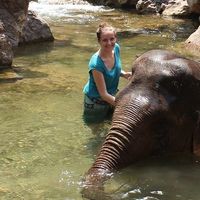 Romane Petit的照片