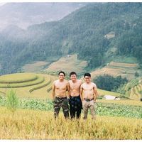 nguyen mauviet's Photo