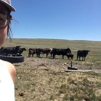 Denise Scheer's Photo