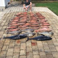 Fotos de Adrien de Maleissye