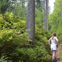 Hanne Govaerts的照片