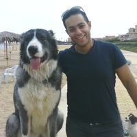 Tamer Ellaithy的照片