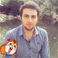 Reza Fattahi's Photo