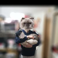 Le foto di JoJo Cheung