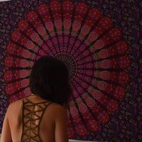 Clémentine Tournier's Photo