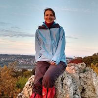 Katalin Varga的照片