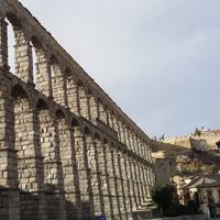 Constanza Turturro's Photo