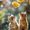 Bojana Bradic's Photo