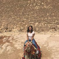 Neama Nabil的照片