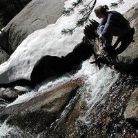 Allison Rooney的照片