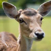 Léo Vallereau's Photo