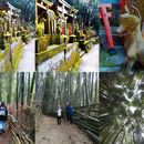 Fushimi Shrine Off Beaten Trail Hiking's picture