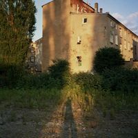 Piotr Rygieslki的照片