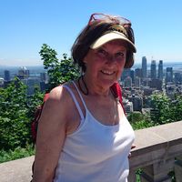 mona monkos的照片