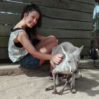 Joana Lagoa的照片