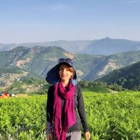 Nasim Rashidi的照片