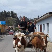Michael Hogan's Photo