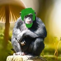 Michael Crass的照片