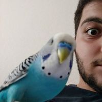 Elvin Bağıroff's Photo