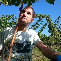 Balint Lakatos的照片