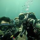 Perhentian Dive Trip's picture