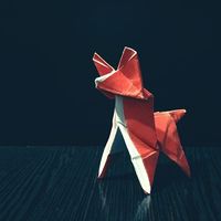 Albano Mucchielli的照片