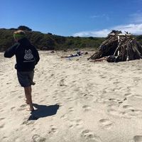 Michael Miller's Photo