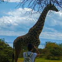 Andrés Pascual Lacarra's Photo